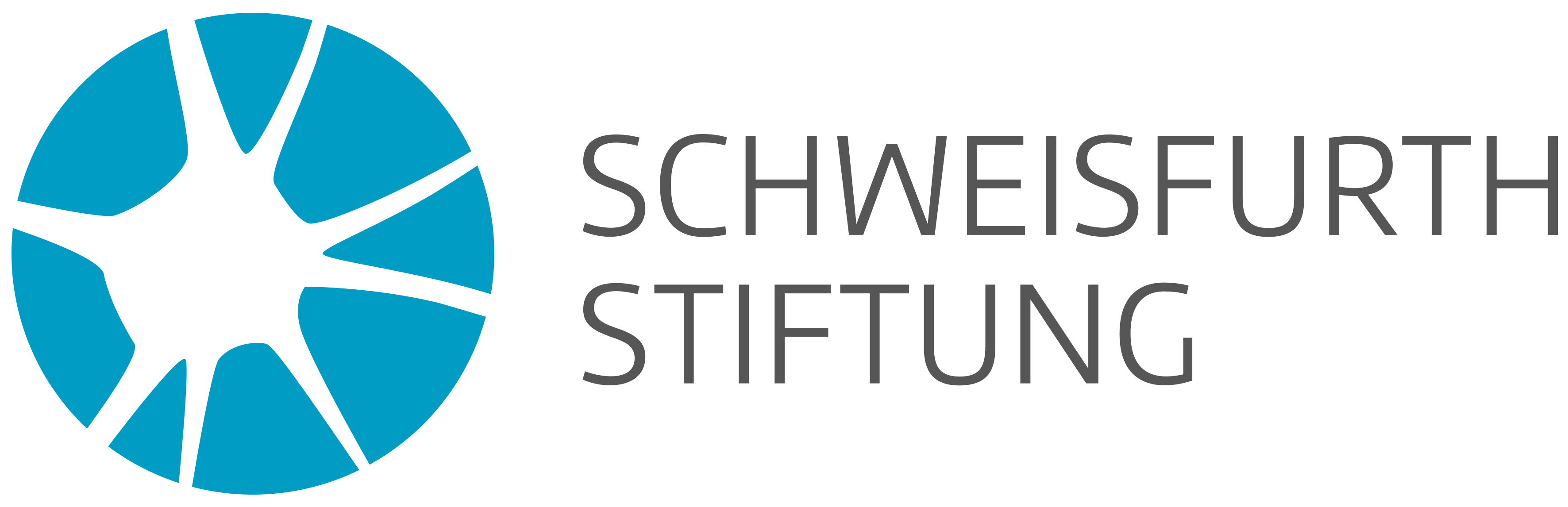 LOGO SFS gr schmal